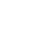 JOY DRIVE